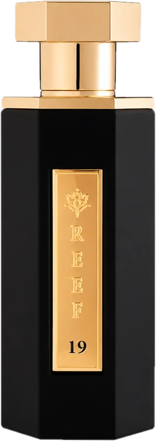 Riiffs Reef 19